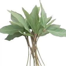 Jagga dumur Leaf (Joggo Dumur Pata) — Puja Items  from Pujariya